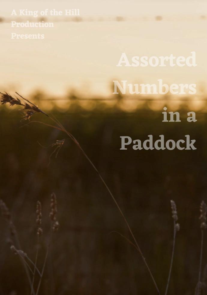 Assorted Numbers in a Paddock (2021)