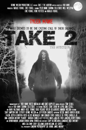 Take 2: The Audition (2015)